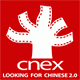Logo Icon